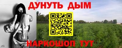 СК Новокубанск